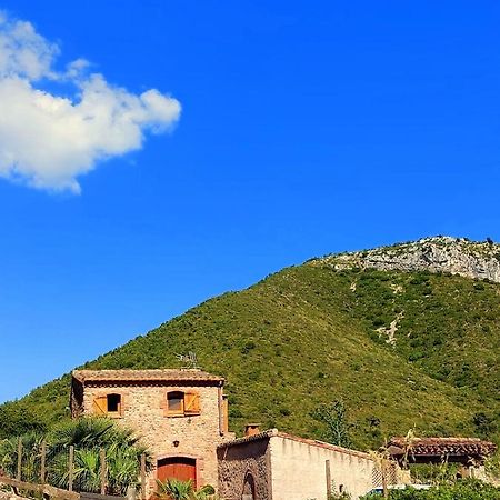 Corral D'En Romagosa Begues Exterior foto